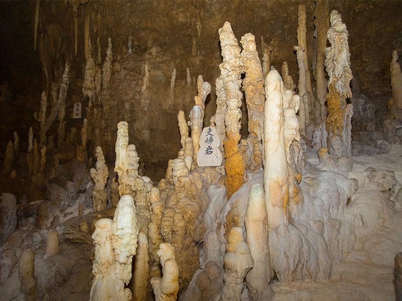 2019年度公司旅遊 - 日本沖繩