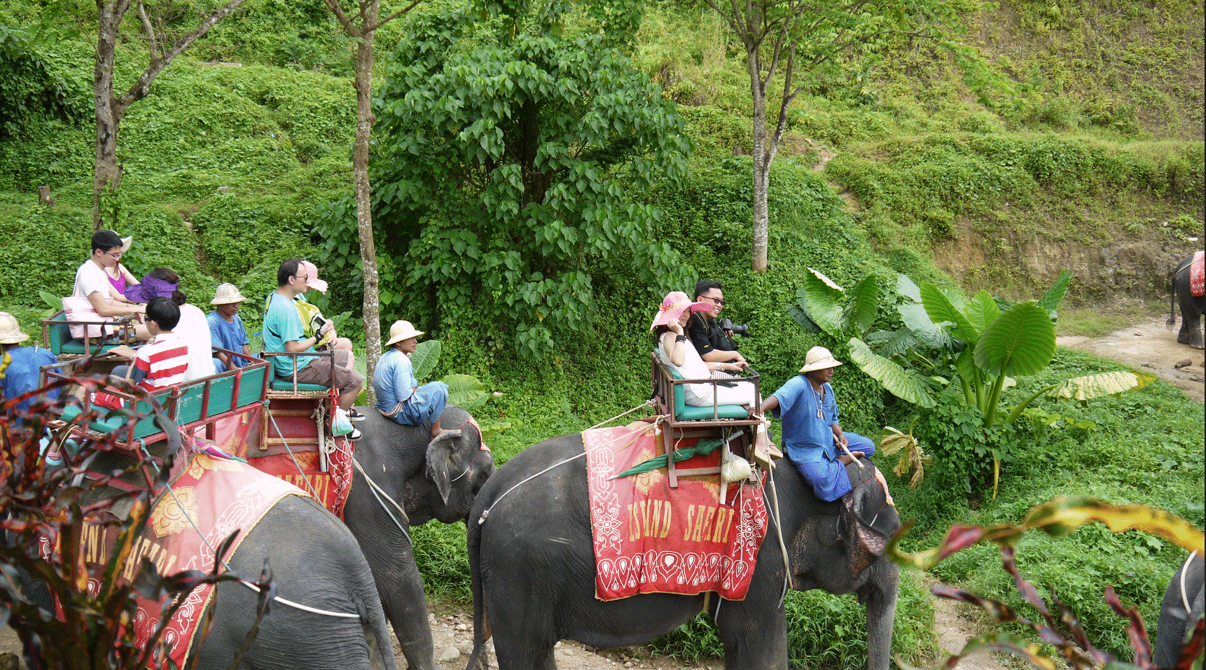 2013年度公司旅遊 - 泰國普吉島