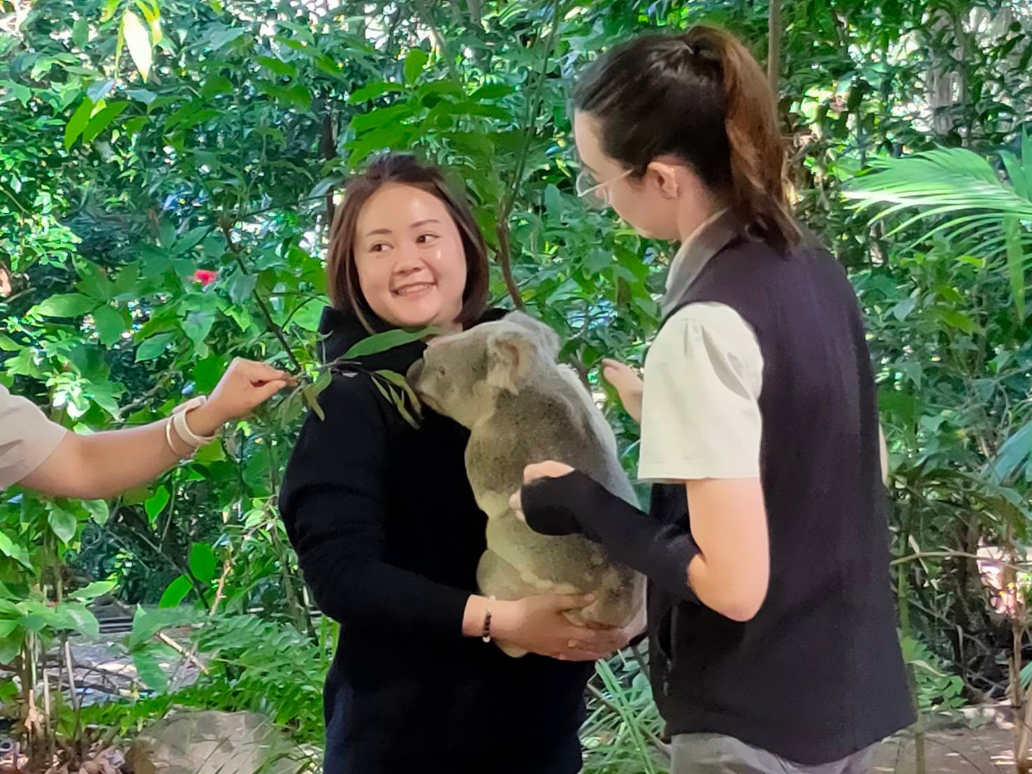 2024年度員工旅遊 - 澳洲布里斯本